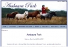 Ambaura Pony Stud