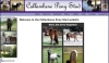 Callambene Pony Stud