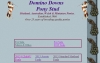 Domino Downs Shetland & Miniature Pony Stud