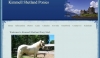 Kimmell Shetland Pony Stud