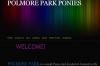 Polmore Park Shetland Stud