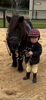 Ultimate first leadline pony