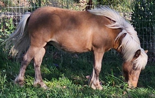 20241217_181813.jpg