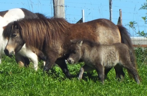 DSCF7947.JPG