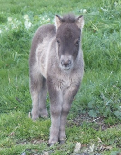 DSCF7854.JPG